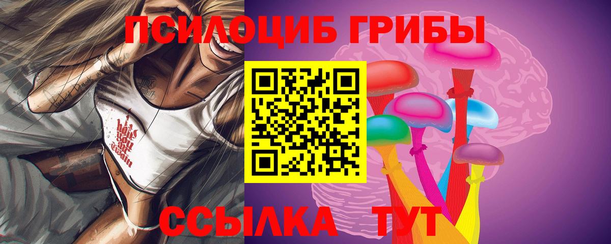 Псилоцибиновые грибы Psilocybe Отрадный