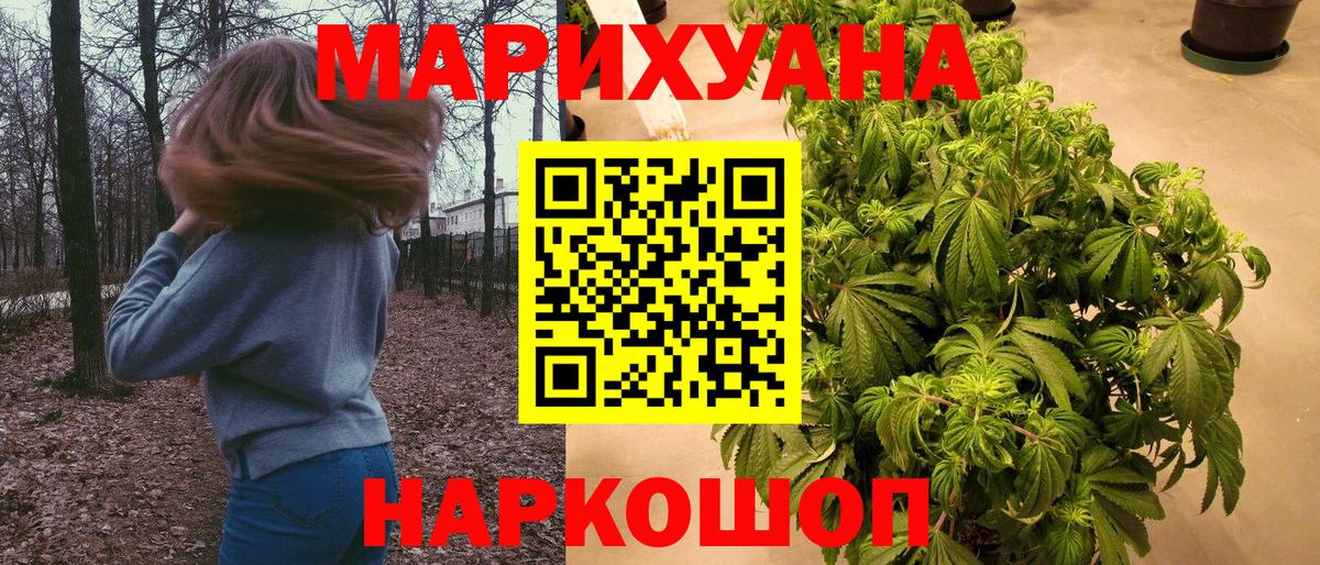 Каннабис ГИДРОПОН  Вход с VPN  Отрадный  Шишки марихуана планчик  Конопля SATIVA & INDICA 
